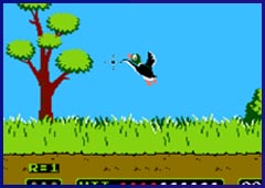 Duck Hunt Games